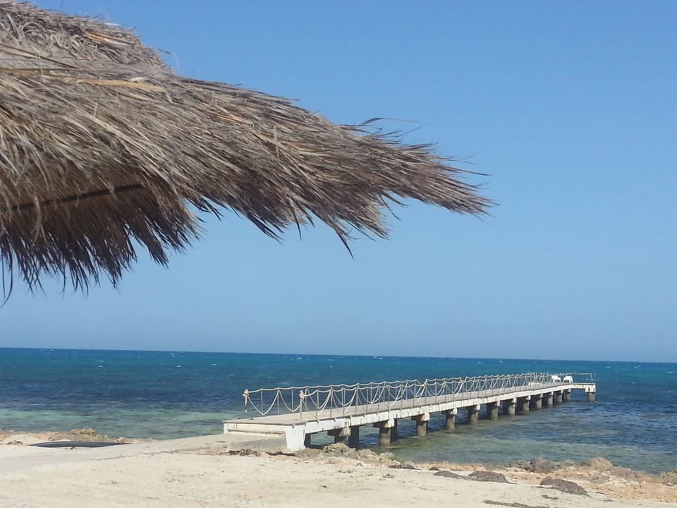 Ausblick vom Pool Hotel El Mouradi Djerba Menzel