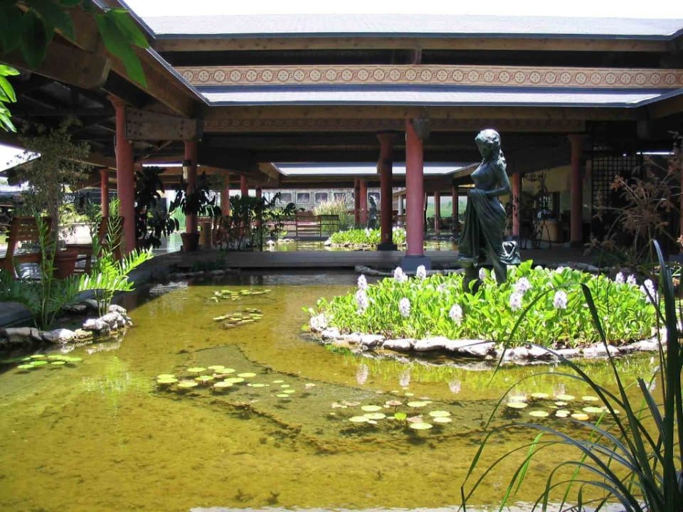 Lobby Hotel Playa Pesquero
