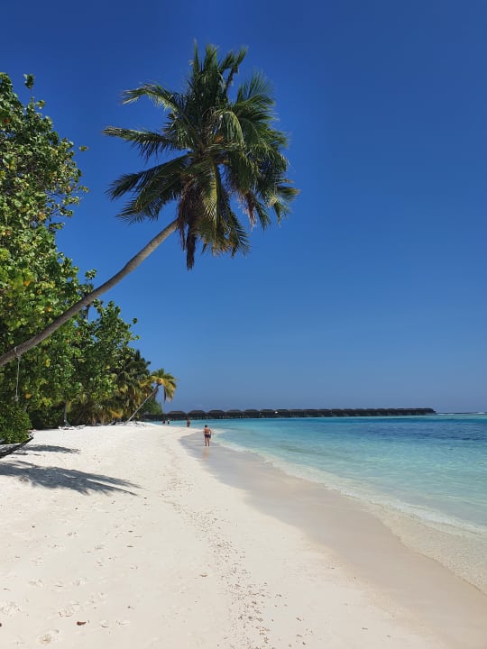 Außenansicht Meeru Maldives Resort Island