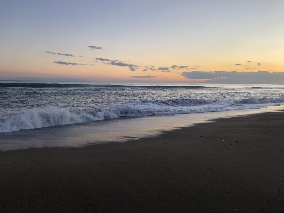 Strand TUI BLUE Palm Garden
