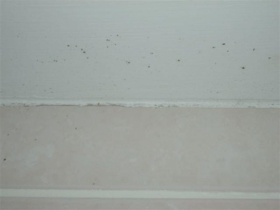 Schimmel Botanik Hotel & Resort