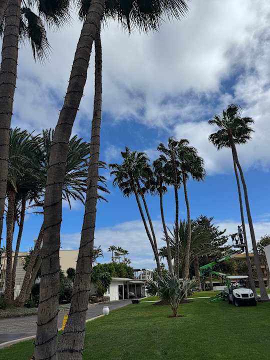 Außenansicht ROBINSON JANDIA PLAYA