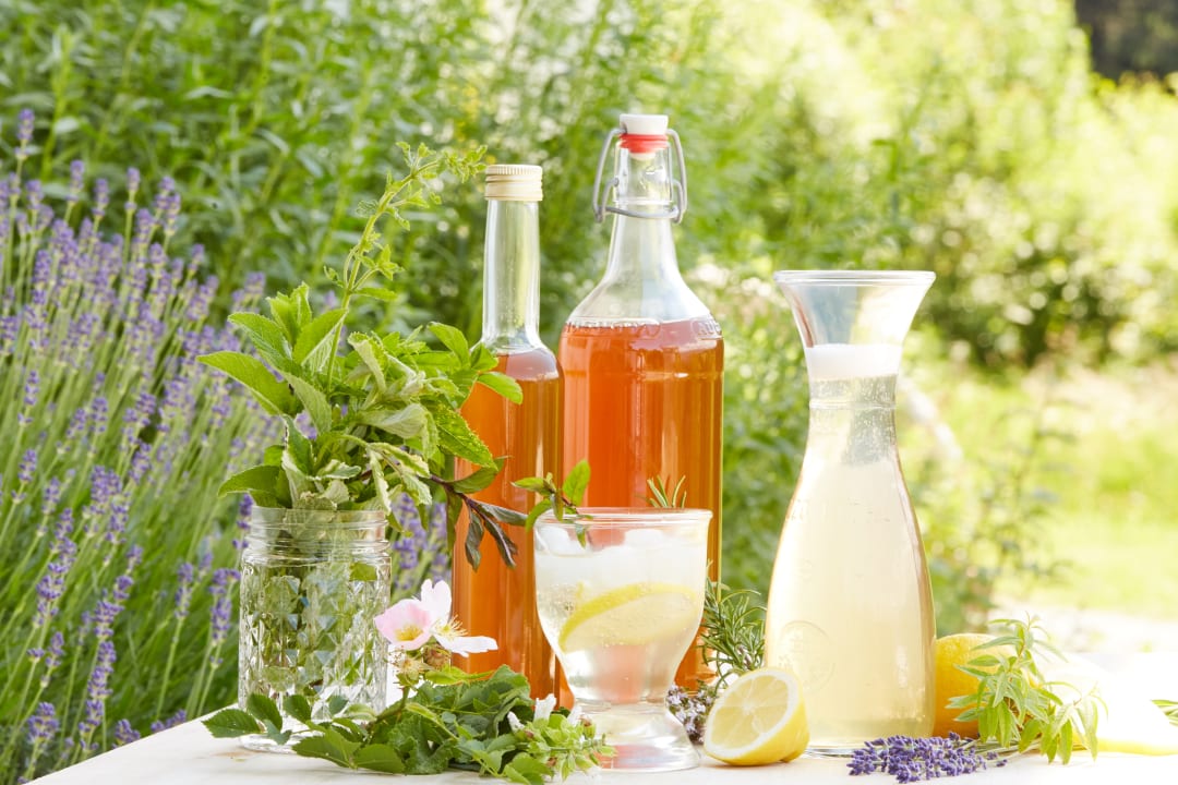 Gastro Berghotel Sonnenklause