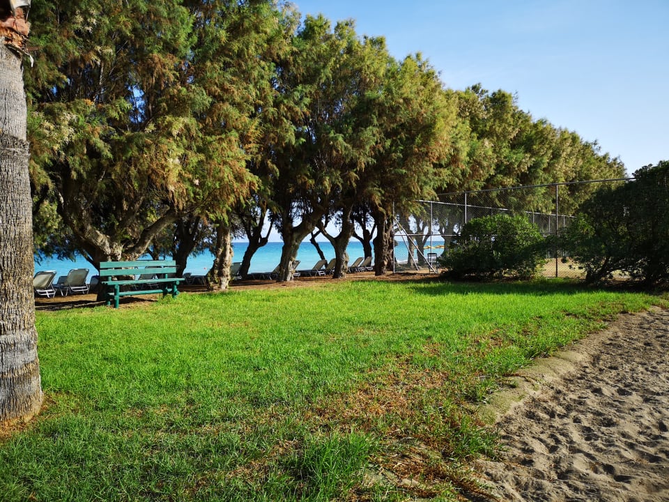 Gartenanlage TUI KIDS CLUB Alex Beach