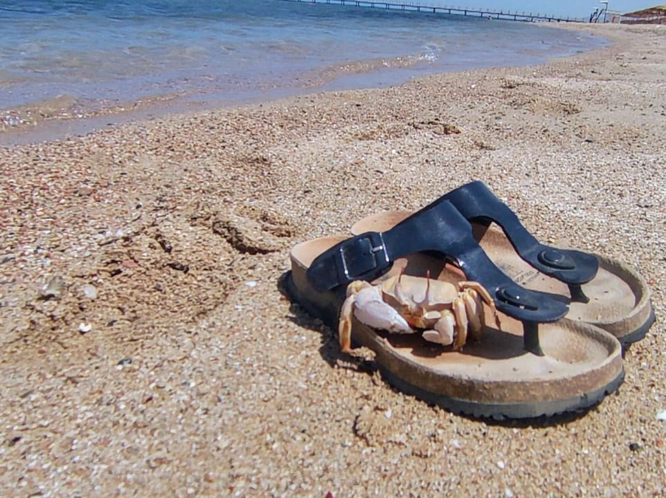 Strand SUNRISE Anjum Resort Marsa Alam