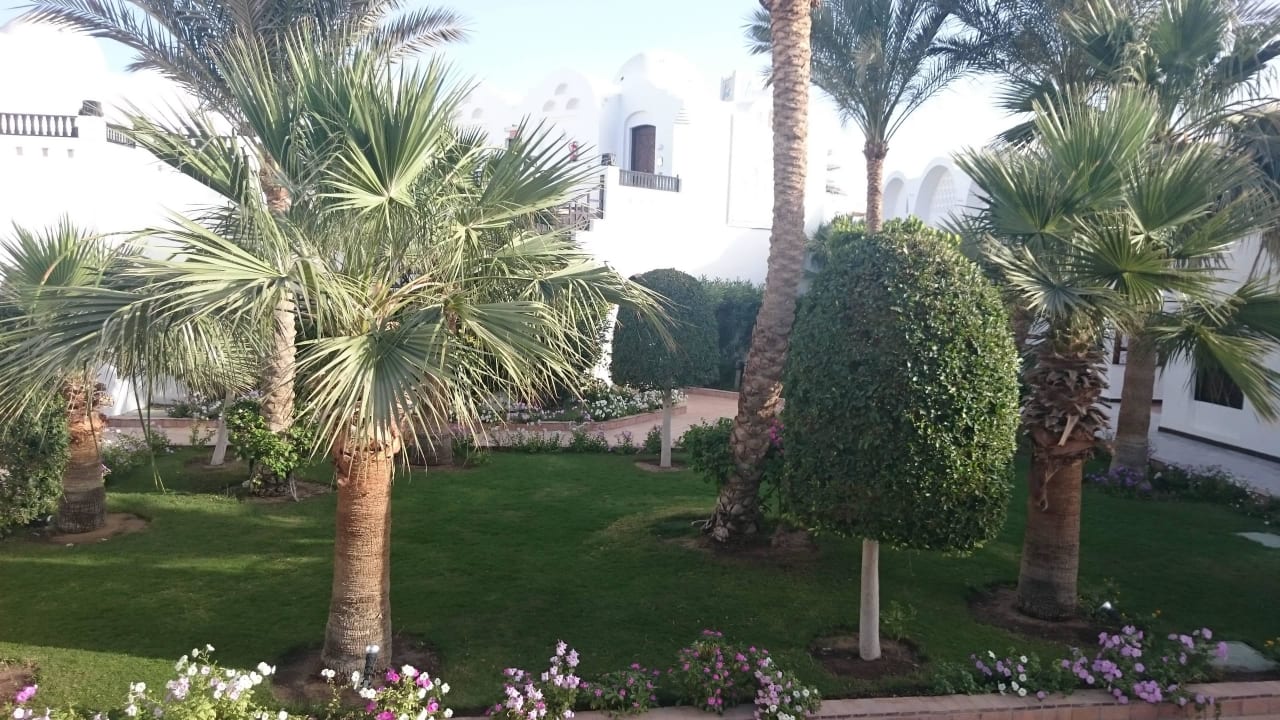 Территория отеля Arabella Azur Resort