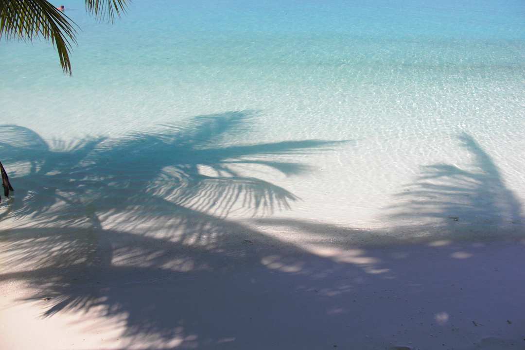 Unser Strand ab frühen Nachmittag Summer Island Maldives