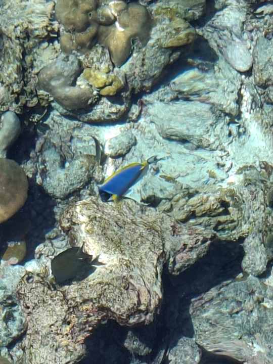 Sport & Freizeit Adaaran Select Meedhupparu Island Resort - Premium All Inclusive