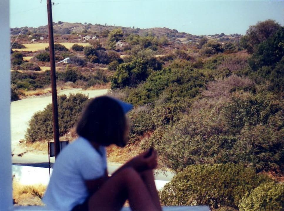 Blick in die Natur Tselios Apartments