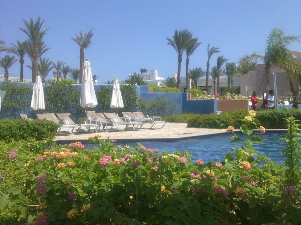 Pool Pickalbatros Sands Hotel - Port Ghalib
