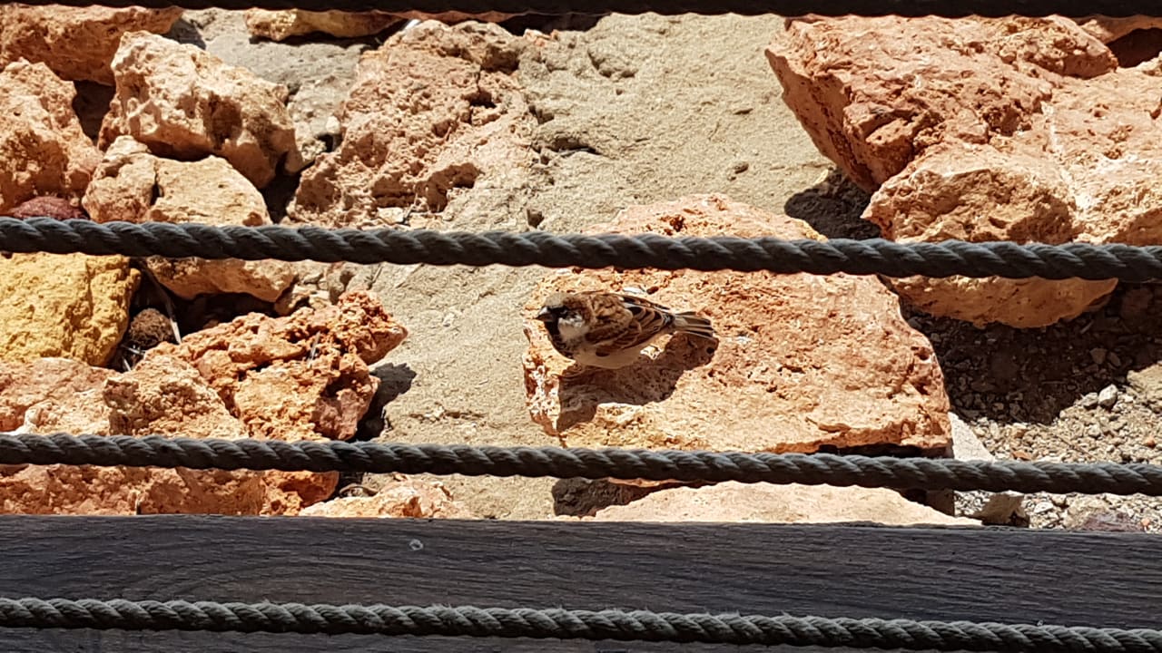 Ausblick Royal Zanzibar Beach Resort