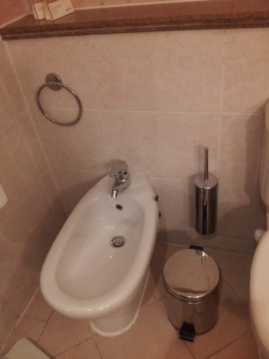 Bidet with a cockroach on it on the right Mövenpick Hotel Cairo Media City
