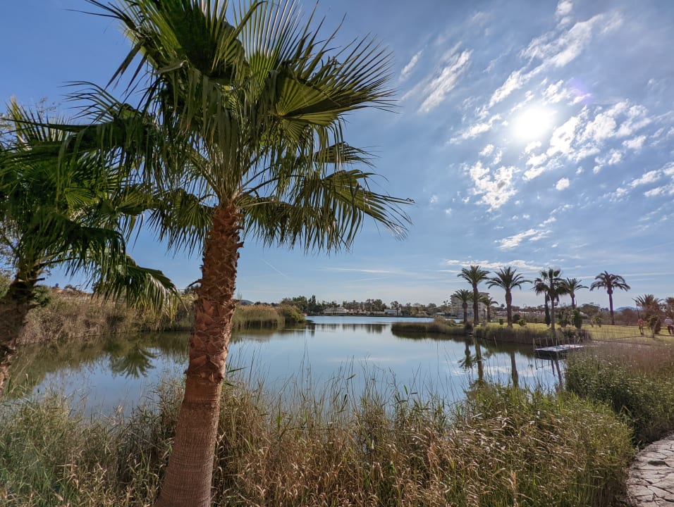 Ausblick Apartments Eix Lagotel