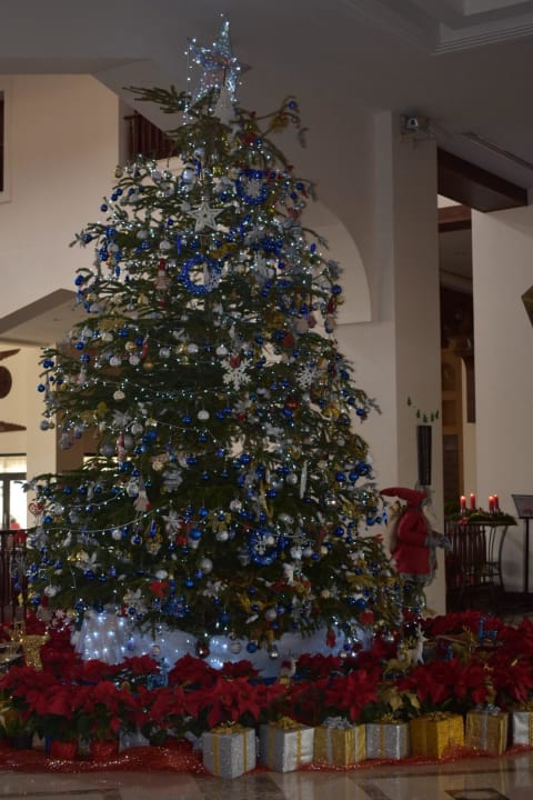 Weihnachtsbaum Steigenberger Aqua Magic