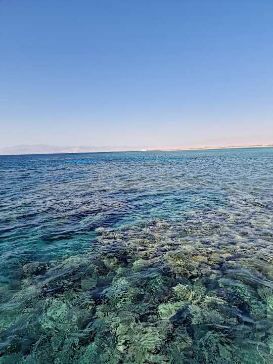 Strand Hotel Sheraton Soma Bay Resort