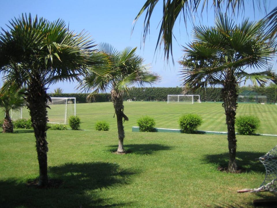 Fußballplatz Paloma Oceana