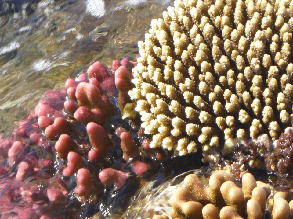 Strand Casa Mare Resort