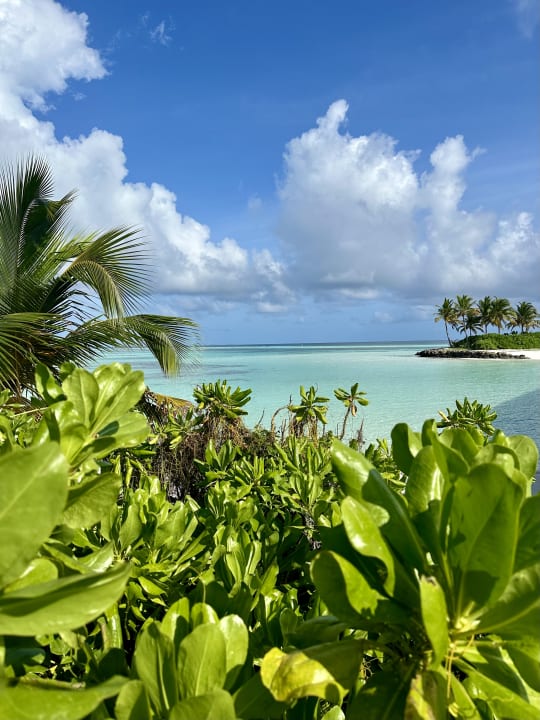 Ausblick Le Meridien Maldives Resort & Spa