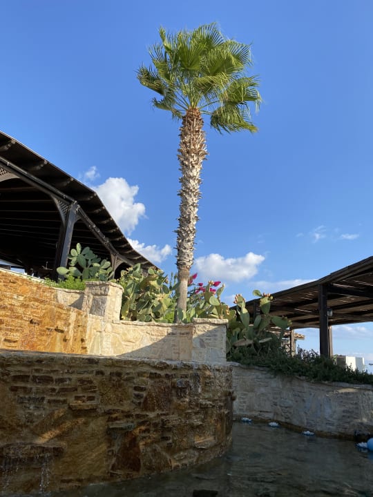 Außenansicht Hotel Kalithea Horizon Royal