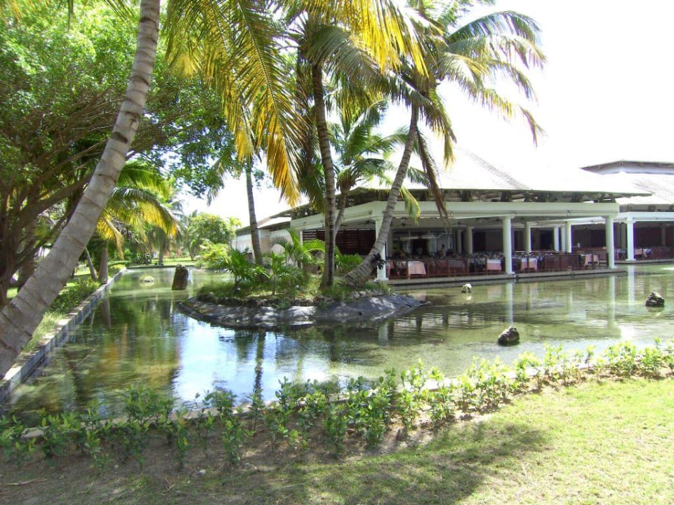 Blick auf das Buffetrestaurant Catalonia Punta Cana - All Inclusive