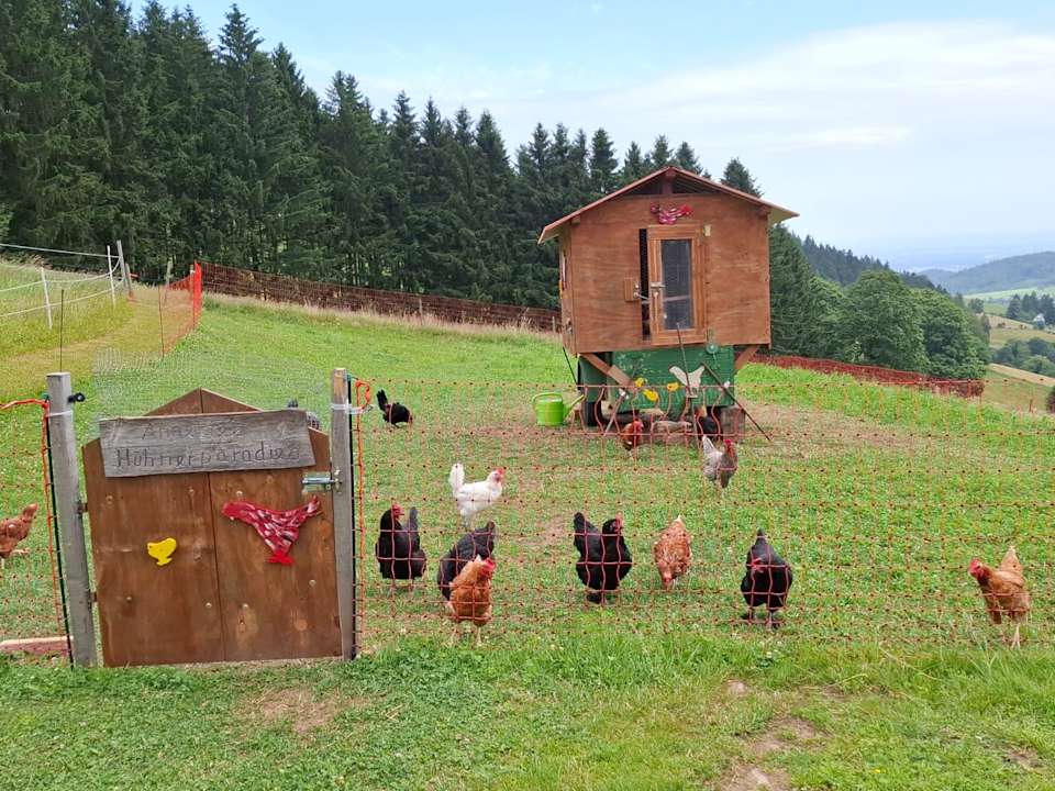 Sonstiges Ferienwohnungen Reeshof