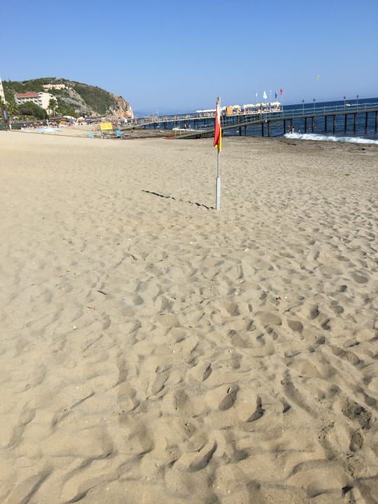 Strand Dizalya Palm Garden