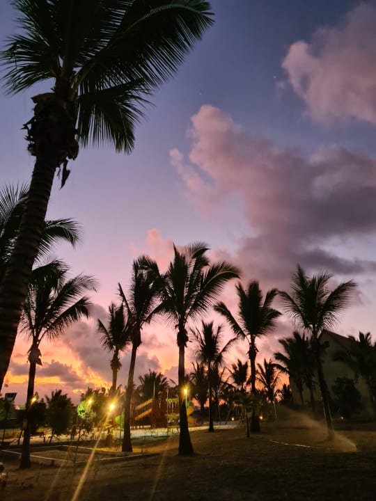 Gartenanlage Crystals Beach Resort Belle Mare, a member of Radisson Individuals