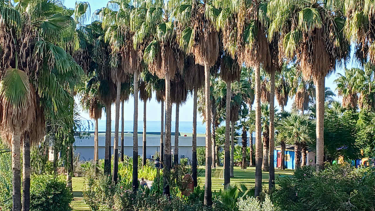 Gartenanlage Royal Atlantis Beach Hotel