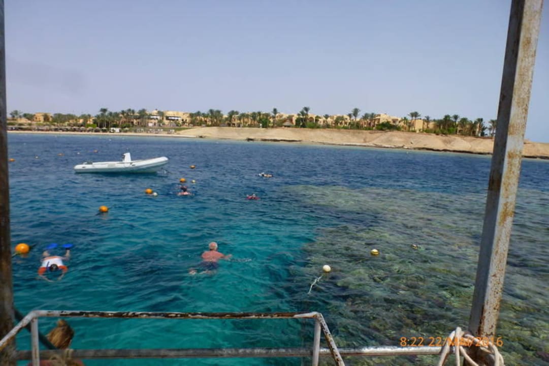 Blick vom Steg. Das Wasser ist kristall-klar Jaz Dar EL Madina