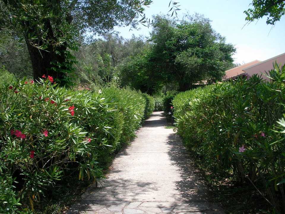 Oleander Sentido Apollo Palace