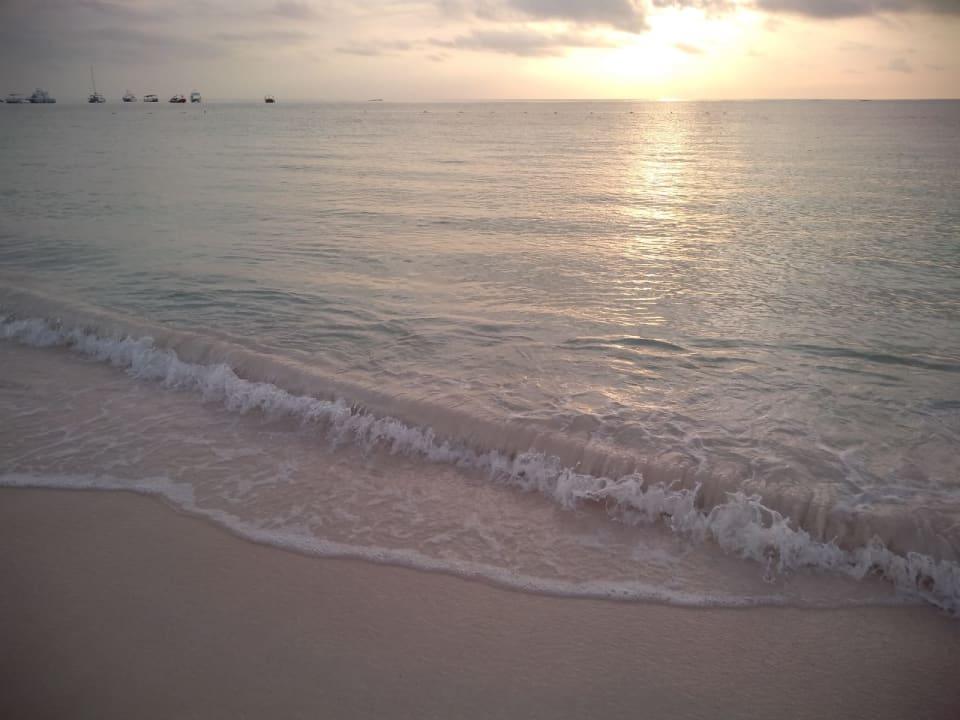 Strand Secrets Royal Beach Punta Cana - Adults only