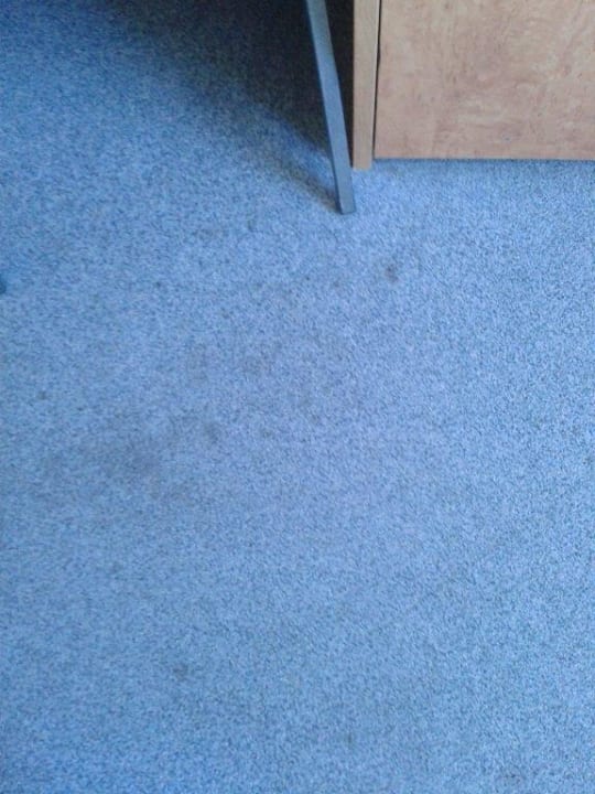 Fleckiger Teppich Hotel Astor Kiel by Campanile