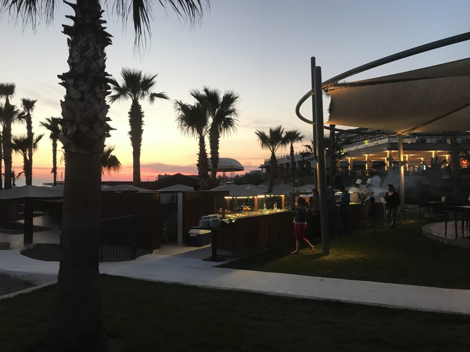 Ausblick TUI BLUE Palm Garden