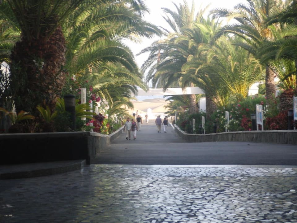 Weg zu den Dünen Hotel Riu Palace Maspalomas Adults Only