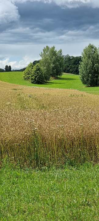 Gartenanlage Pałac i Folwark Galiny