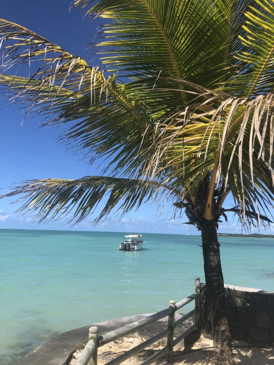 Ausblick Lagoon Attitude - Adults only