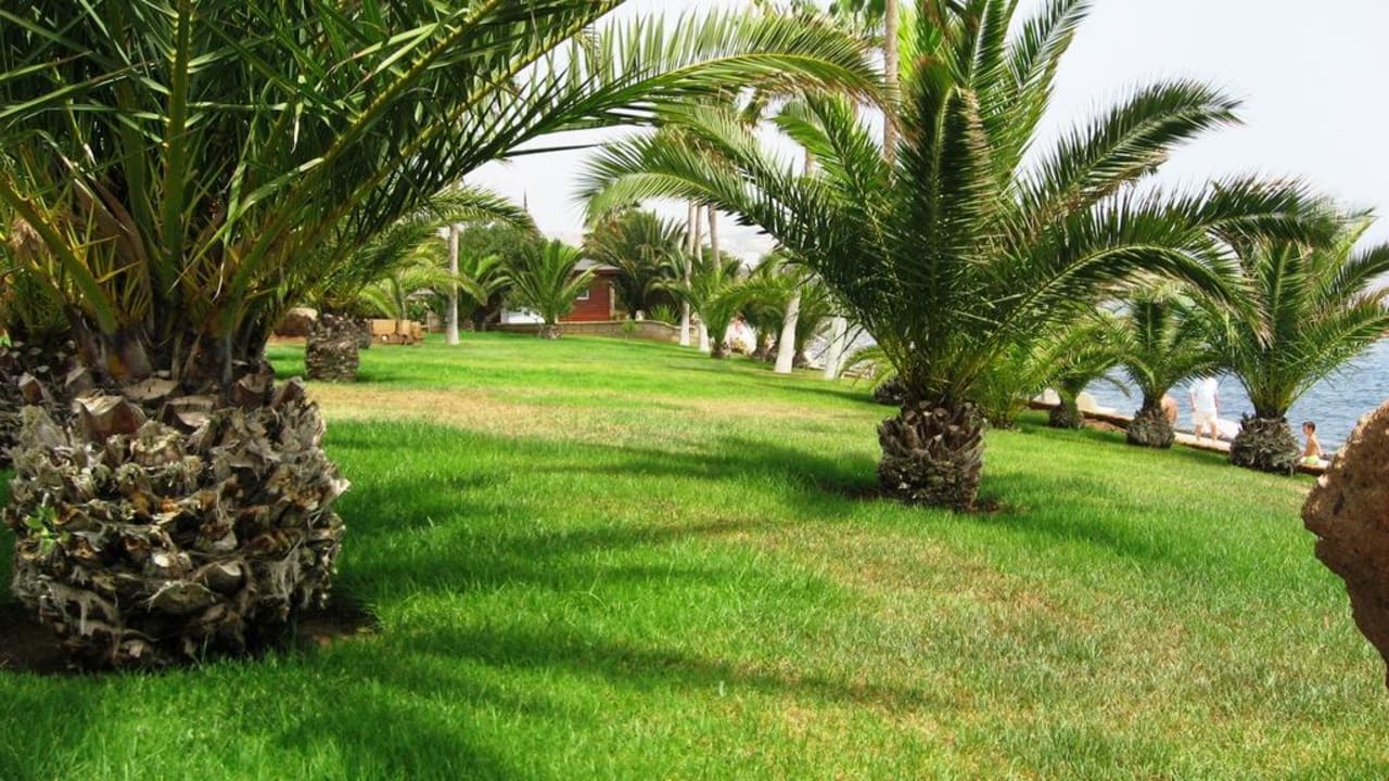 Gartenanlage Hotel Riu Palace Tenerife