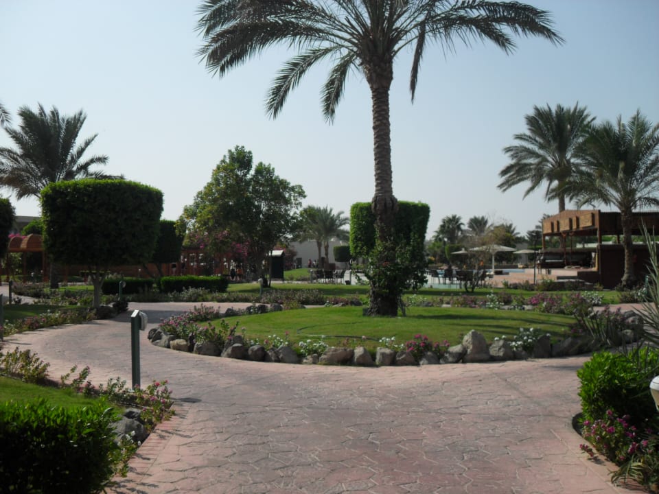 Gartenanlage Desert Rose