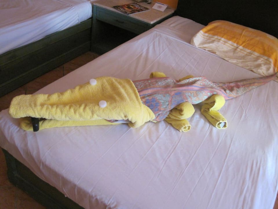 Krokodil Arabia Azur Resort