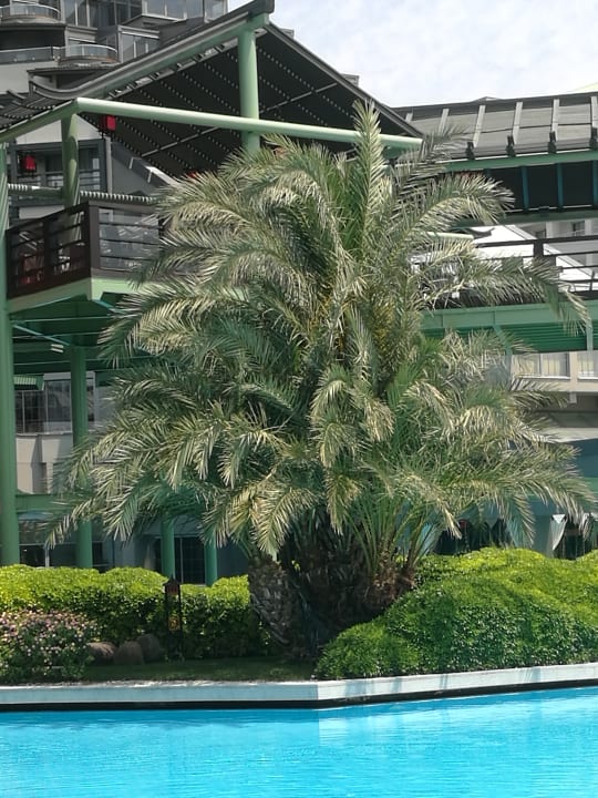 Pool Limak Lara Deluxe Hotel & Resort