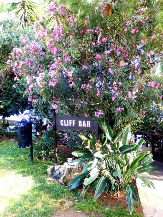 Die berühmte Cliff Bar Hotel Grecian Park