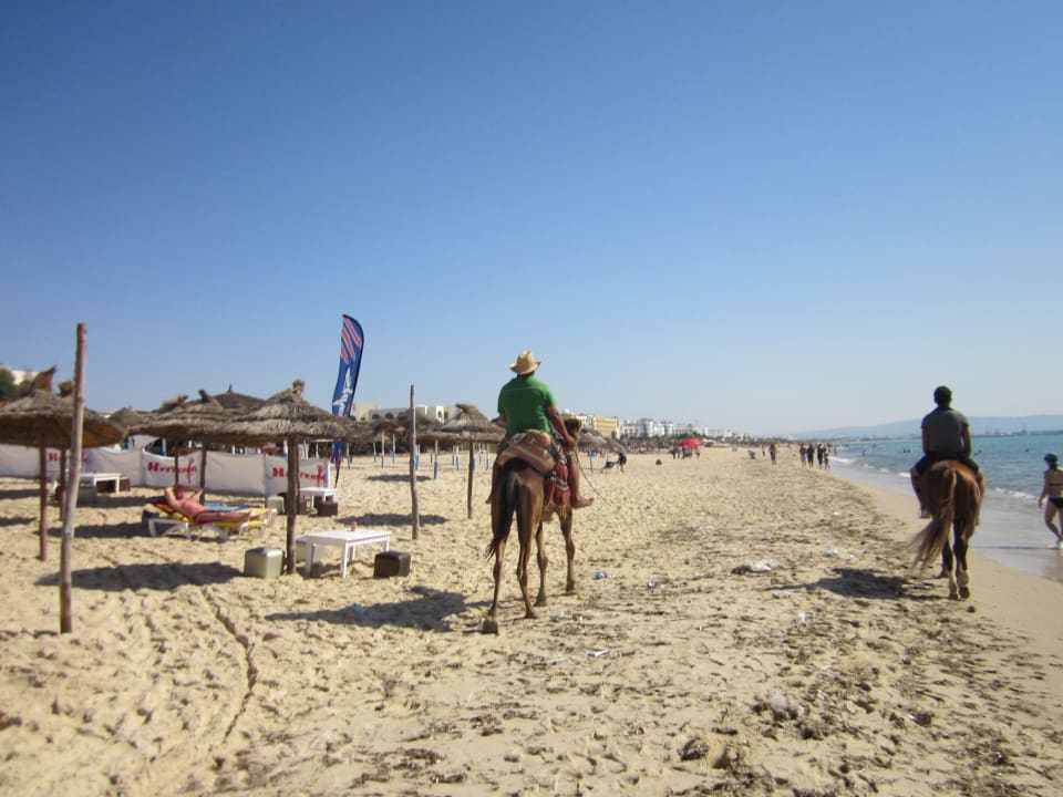 Strand, Dromedar und Gaul Royal Tulip Taj Sultan