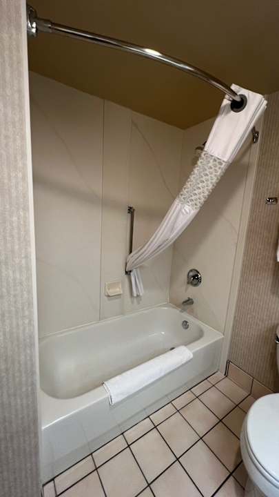 Zimmer Hampton Inn & Suites Dickinson