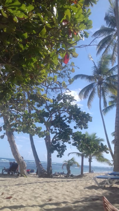 Strand Grand Paradise Playa Dorada