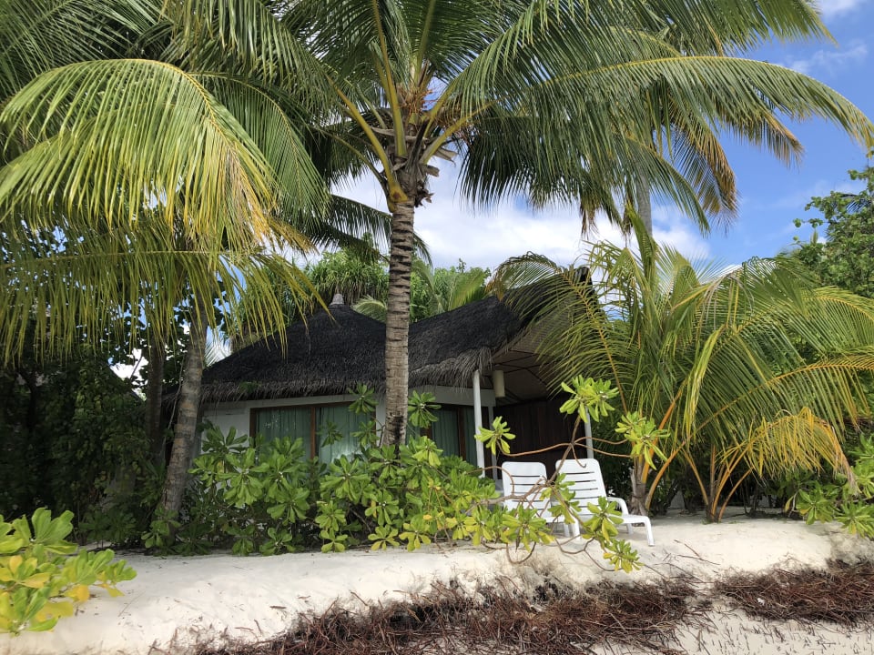 Zimmer Safari Island Maldives