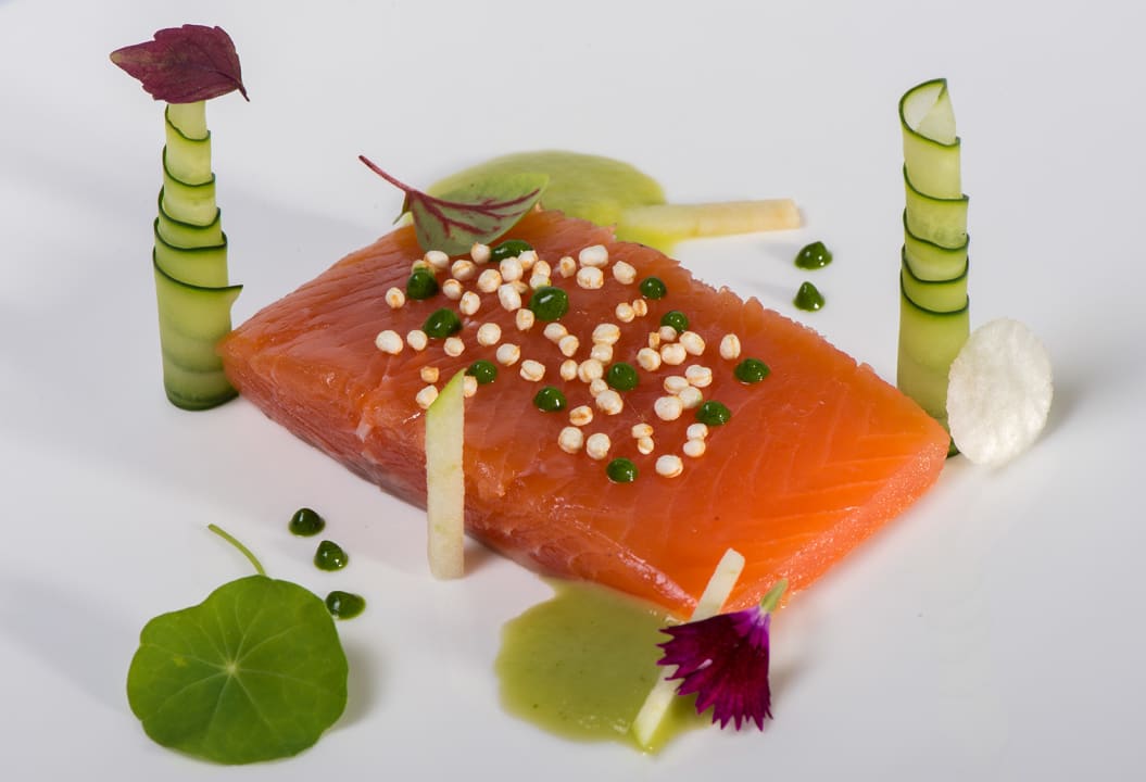 Gastro Color Hotel