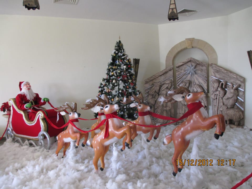 Weihnachtlich geschmückt Pickalbatros Dana Beach Resort - Hurghada