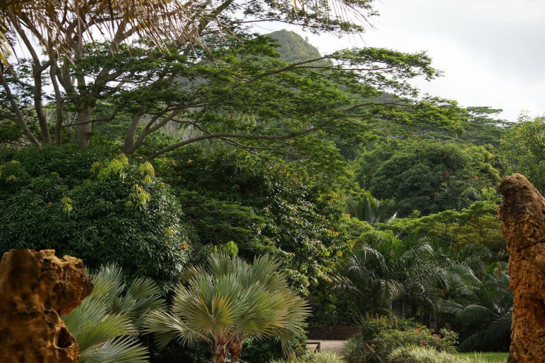 Einfahrt Lakaz Chamarel Exclusive Lodge