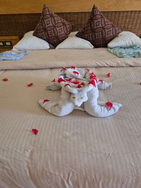 Zimmer The Grand Palace - Adults only