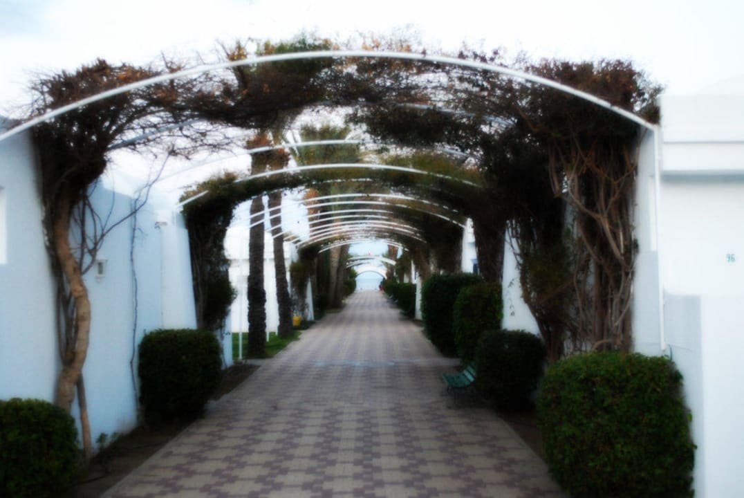 Der Weg zu den Bungalows und dem Strand El Mouradi Club Kantaoui